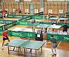 pingpong.jpg pingpong.jpg