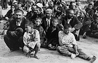 roma holokauszt200 roma holokauszt200