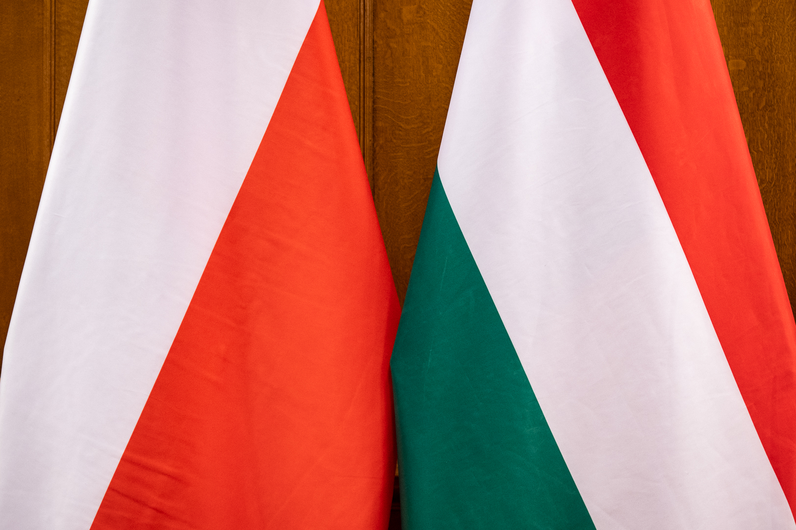 Éljen a lengyel-magyar barátság!