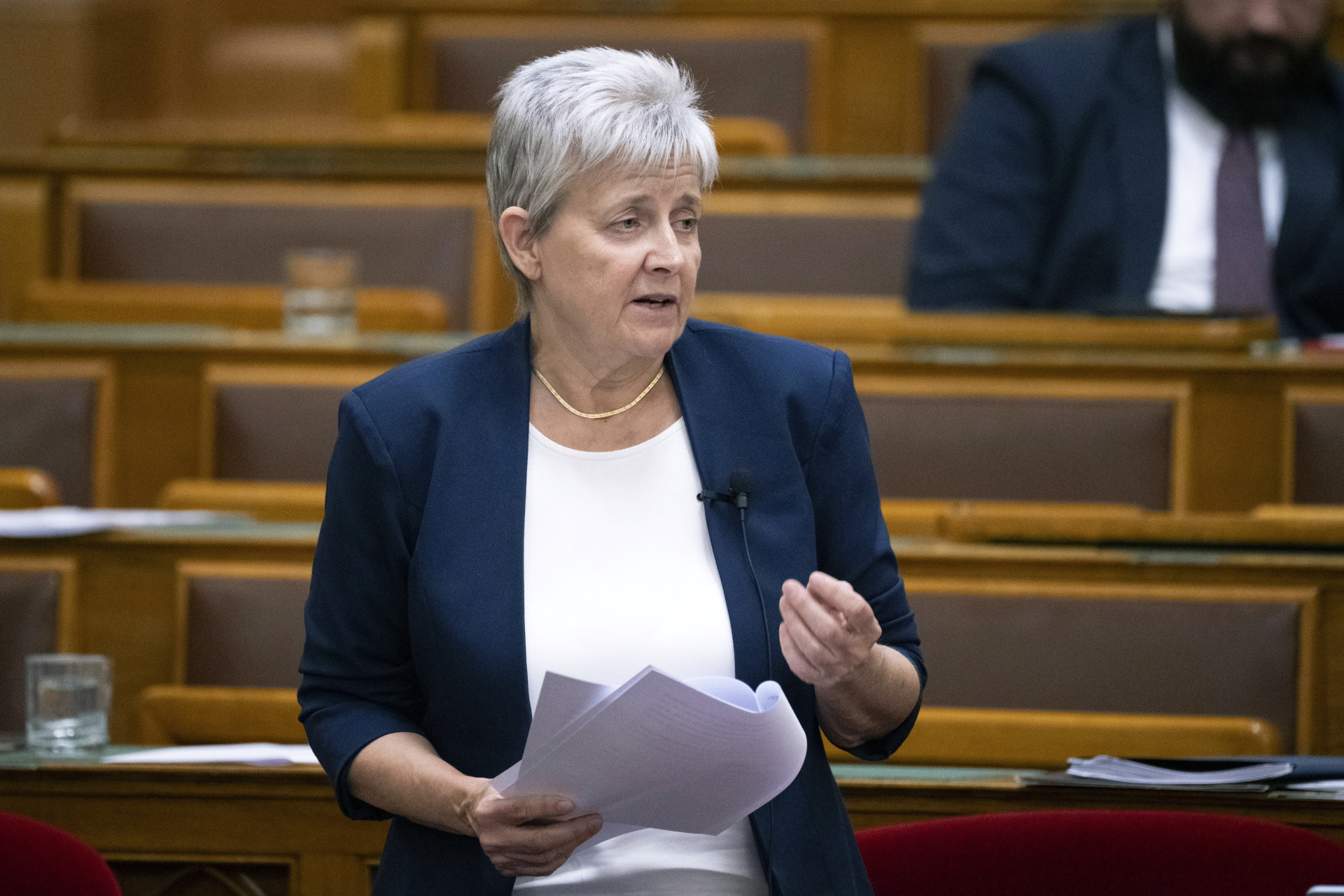 lannert judit