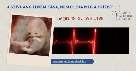 szívhang