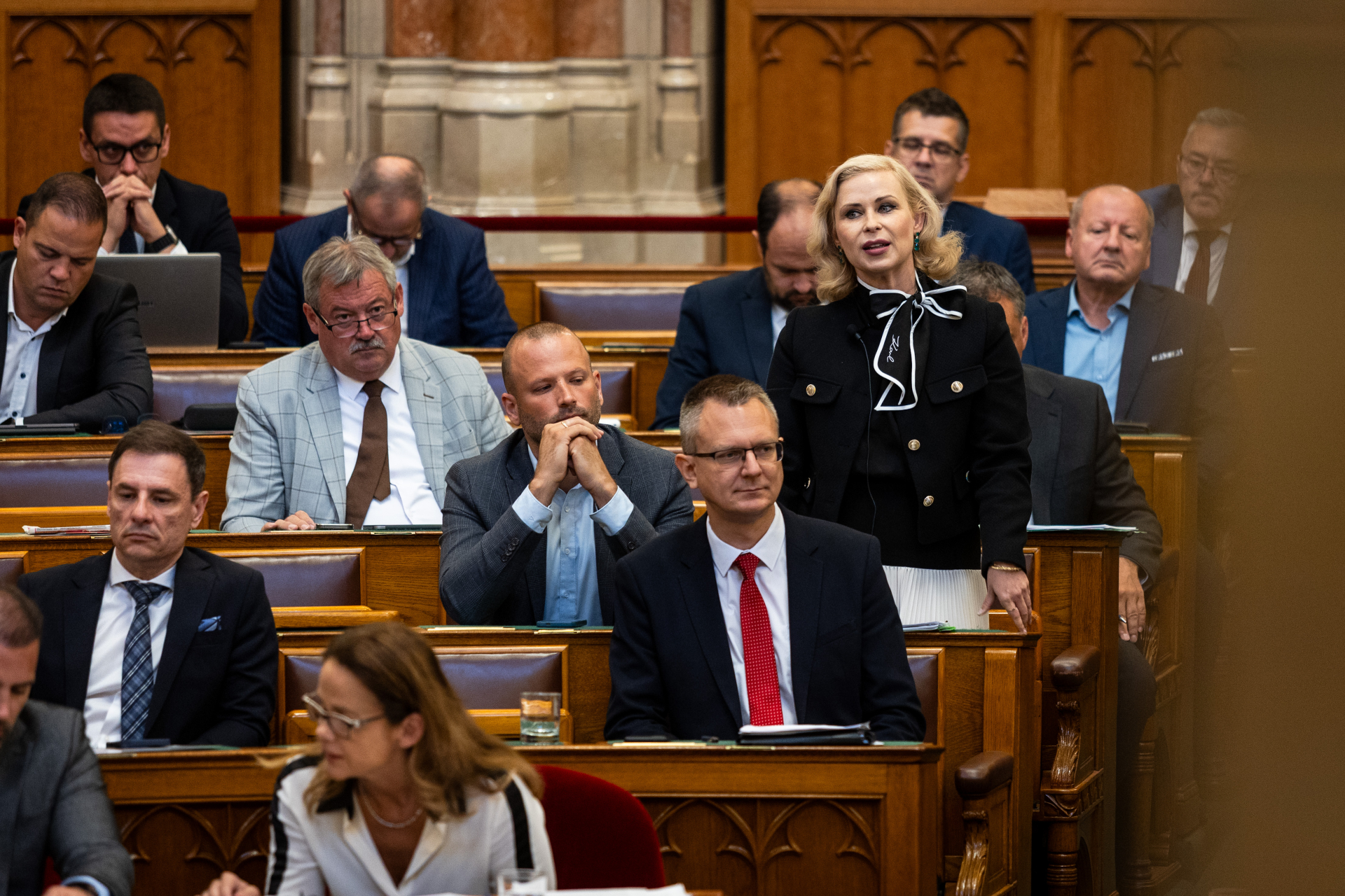 Juhász Hajnalka