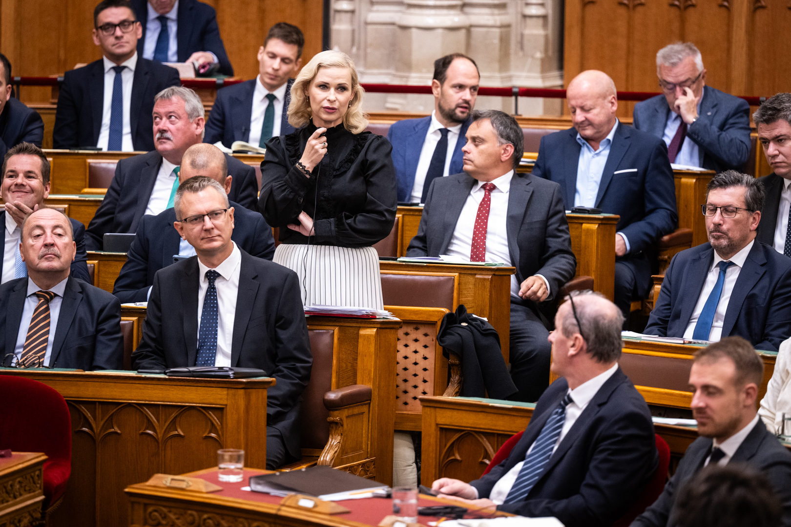 Juhász Hajnalka