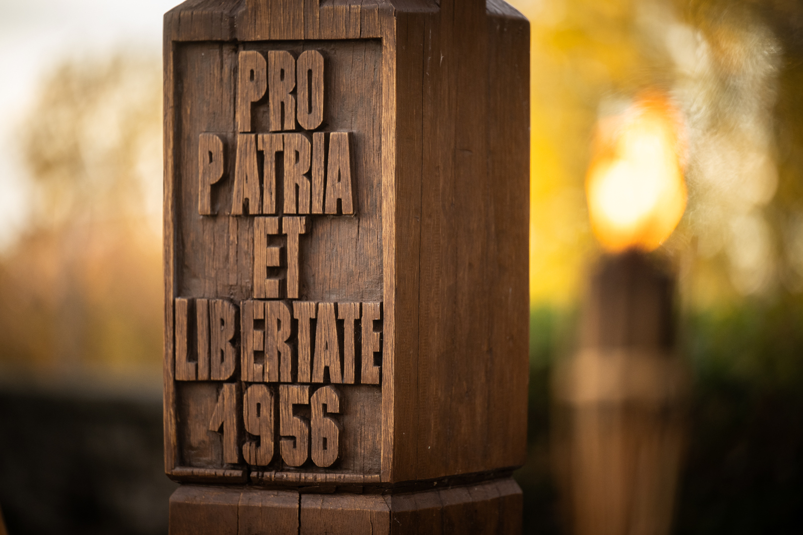 1956